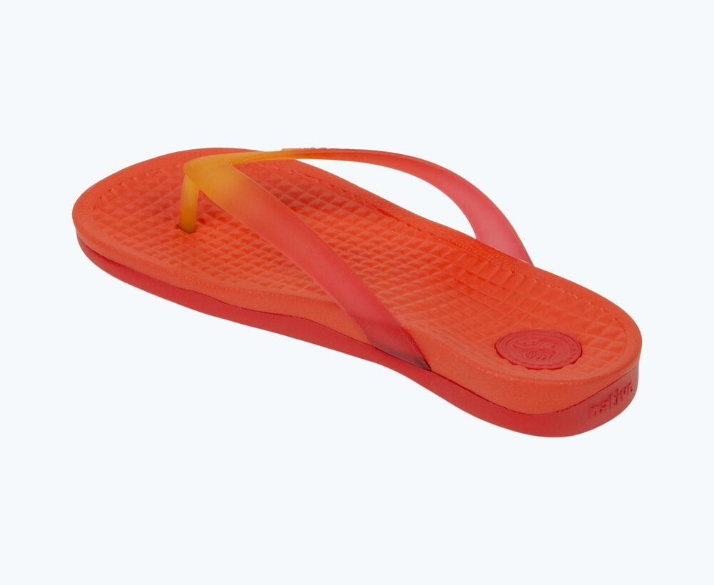 Native Shoes Velvety Slip On Sandal - Paolo Wanderfoam