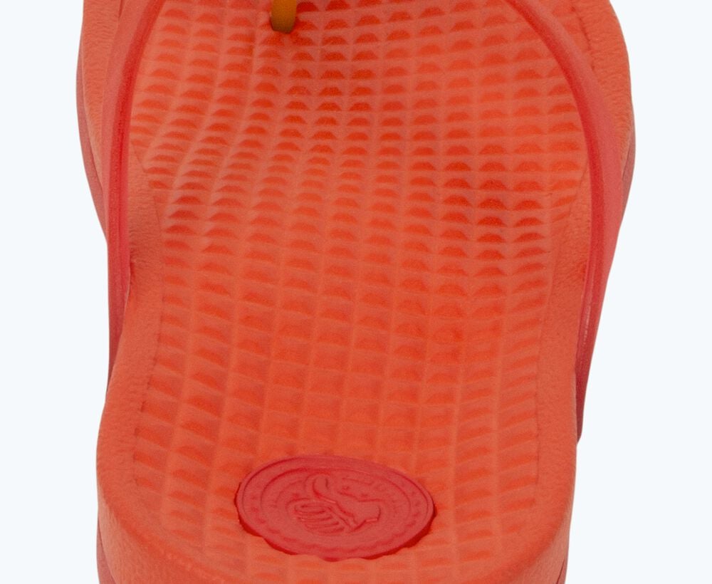 Native Shoes Velvety Slip On Sandal - Paolo Wanderfoam