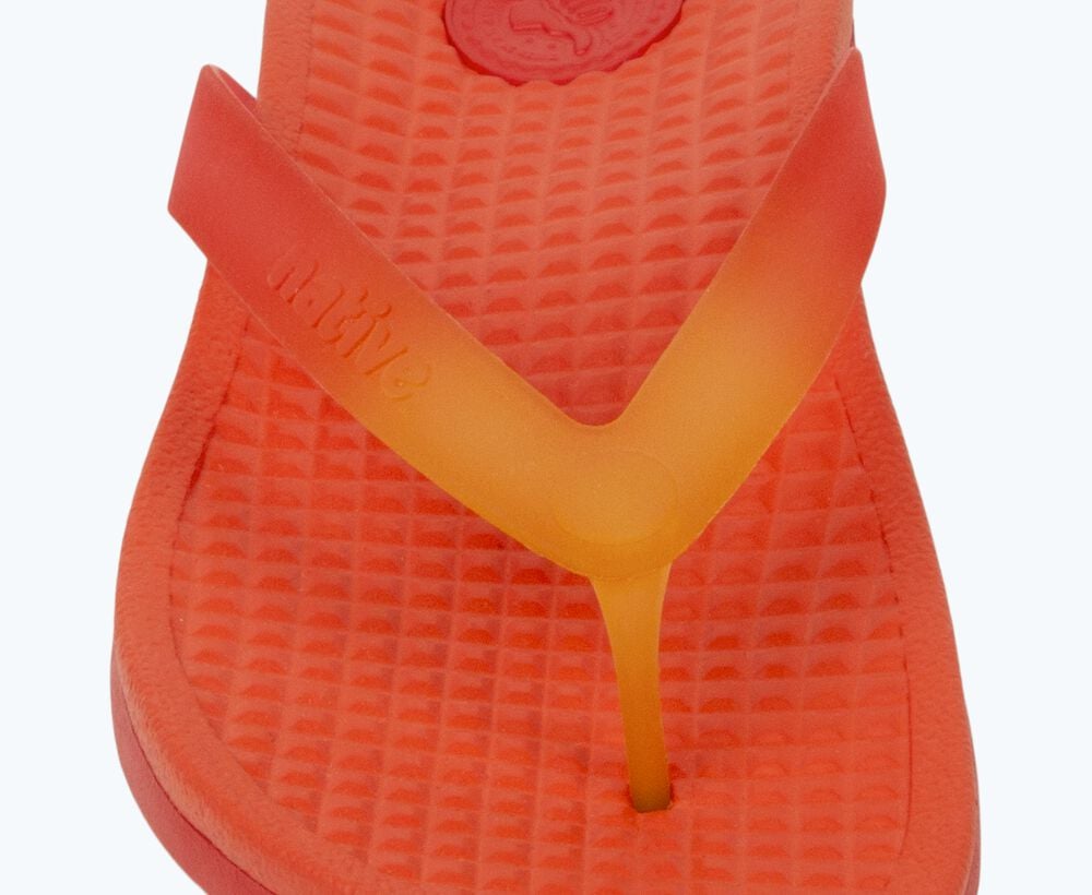 Native Shoes Velvety Slip On Sandal - Paolo Wanderfoam