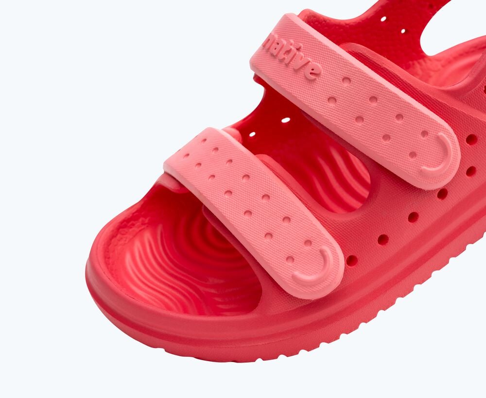 Native Shoes Water Wandering Sandal - Chase Child